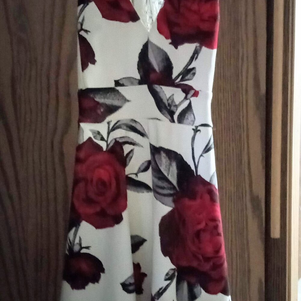 Intriguing IRIS Dress